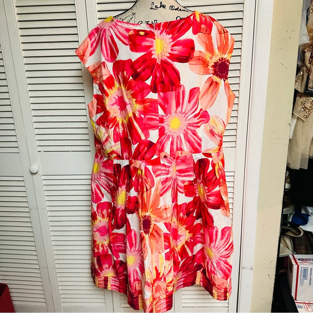 Kim Rogers plus size dress - Picture 3 of 3